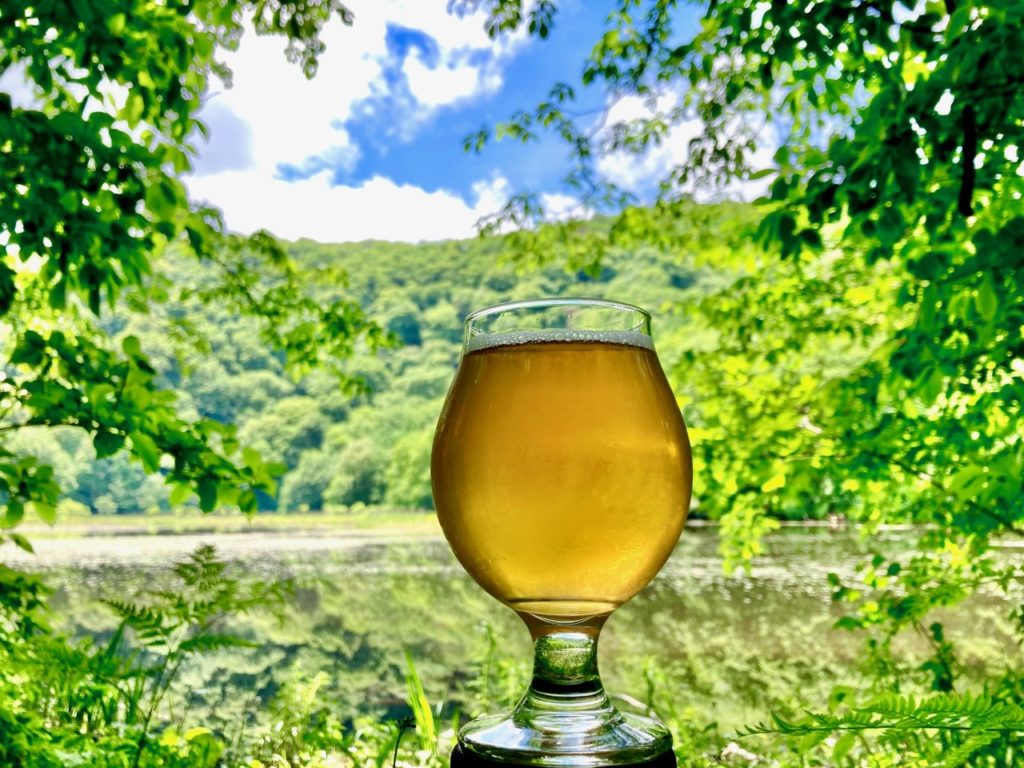 イヌワシの森を守るための、間伐スギのビールを作ろう | Brewing for